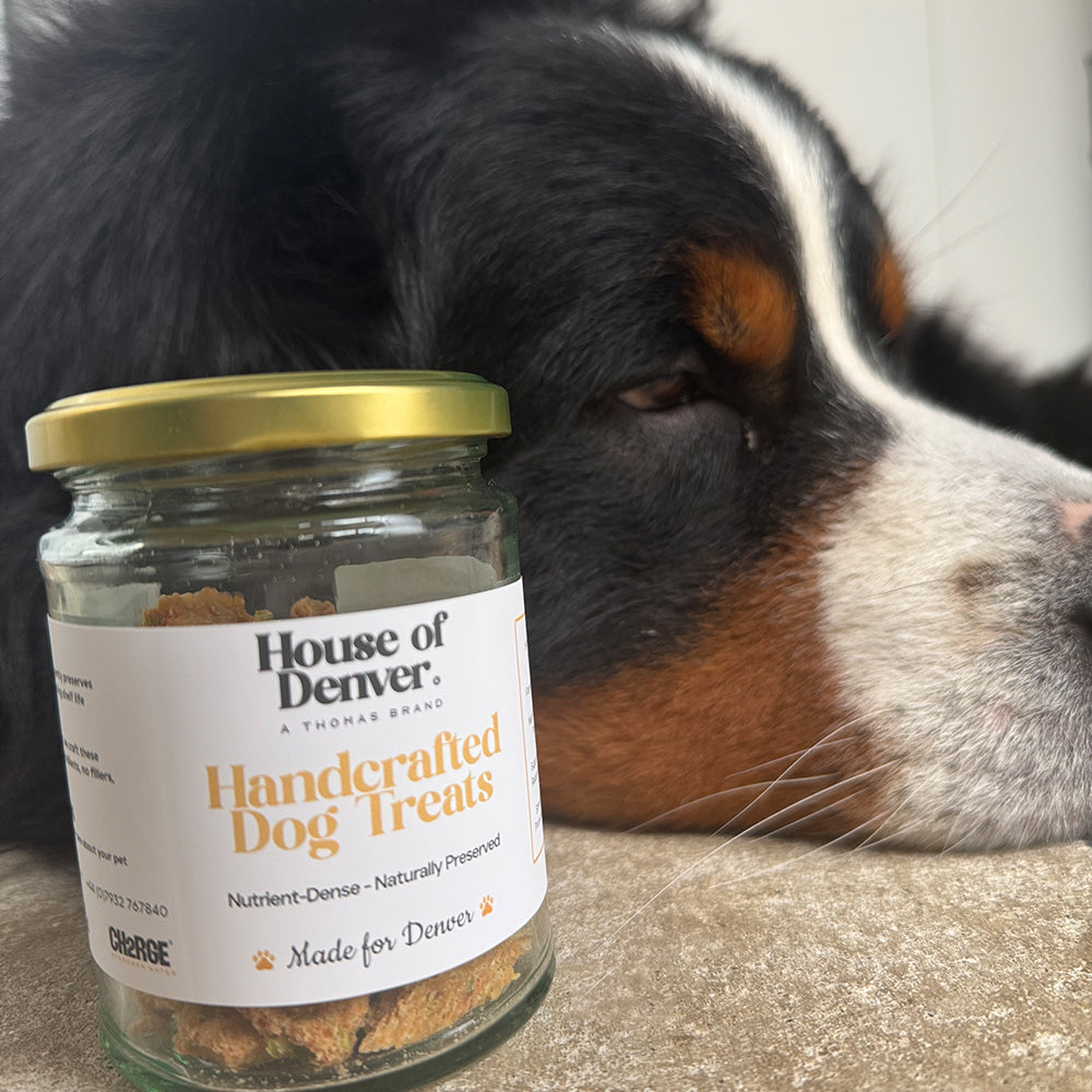 Personalised Handmade Dehydrated Dog Treats – Plant-Based & Nutrient-Rich